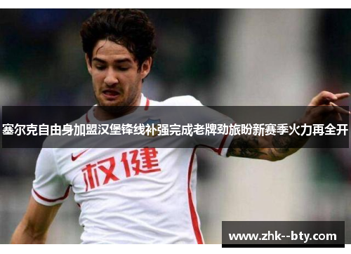 塞尔克自由身加盟汉堡锋线补强完成老牌劲旅盼新赛季火力再全开