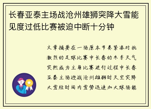 长春亚泰主场战沧州雄狮突降大雪能见度过低比赛被迫中断十分钟